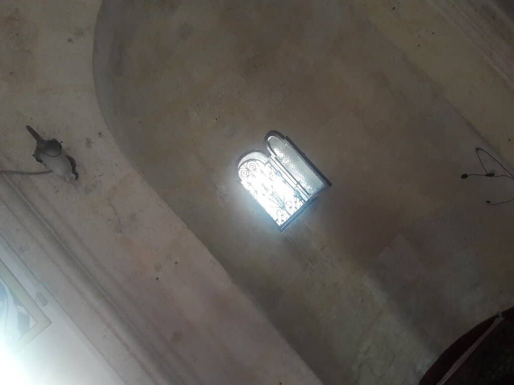 Vertical photo