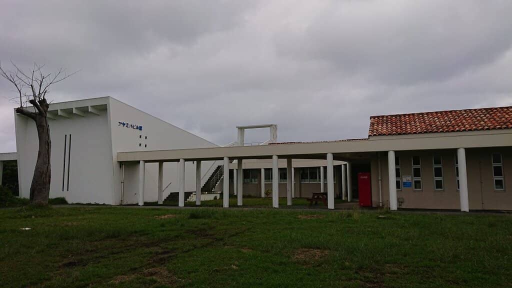 Moth Costume Photo Op