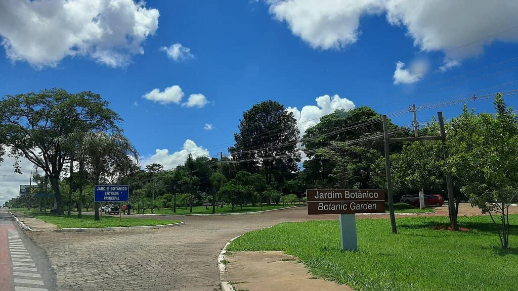 Tropical Plant Collection