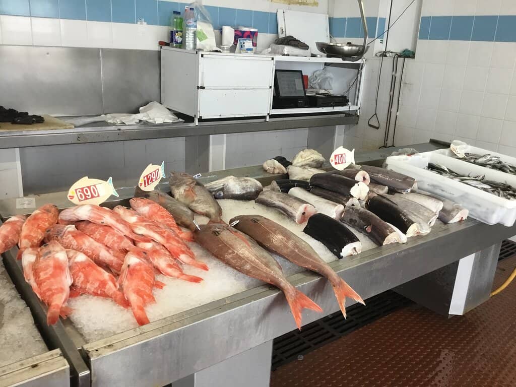 The Daily Catch