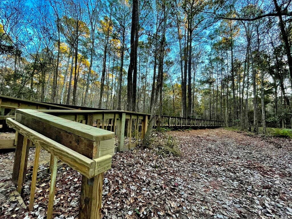 Family-Friendly Playground