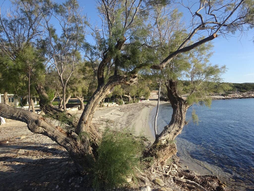 Tranquil Cove Experience