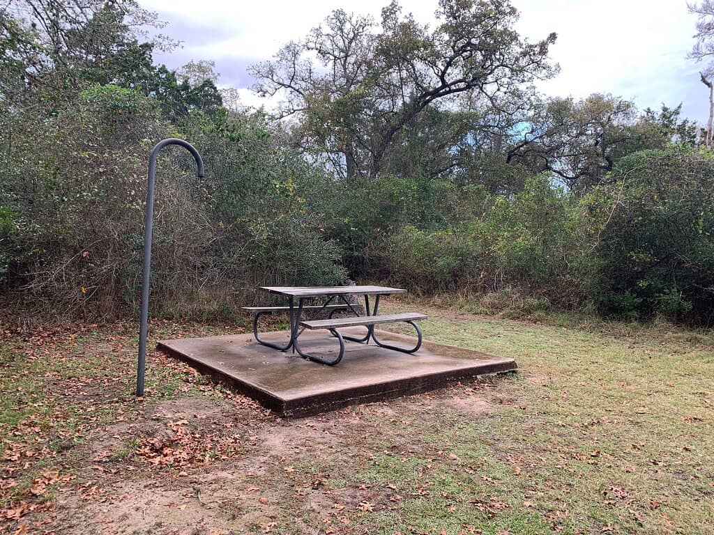 Birdwatching Opportunities