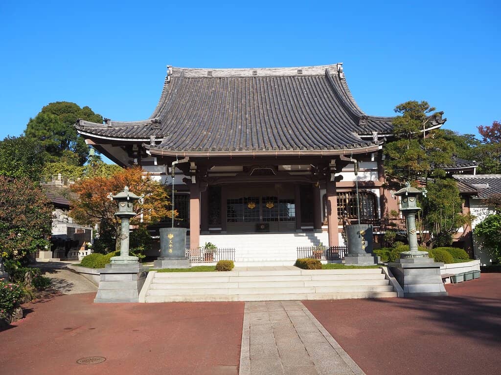 Matcha Tea Experience