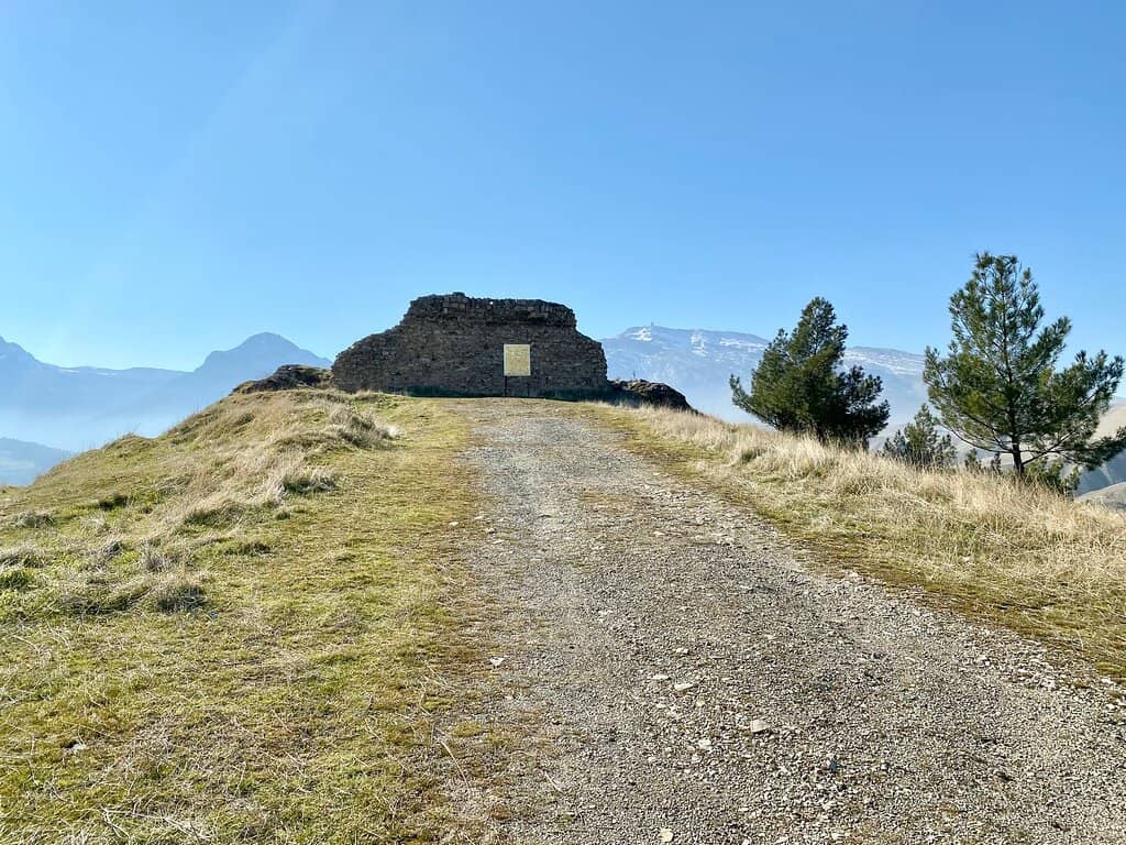 Vibrant Surrounding Market