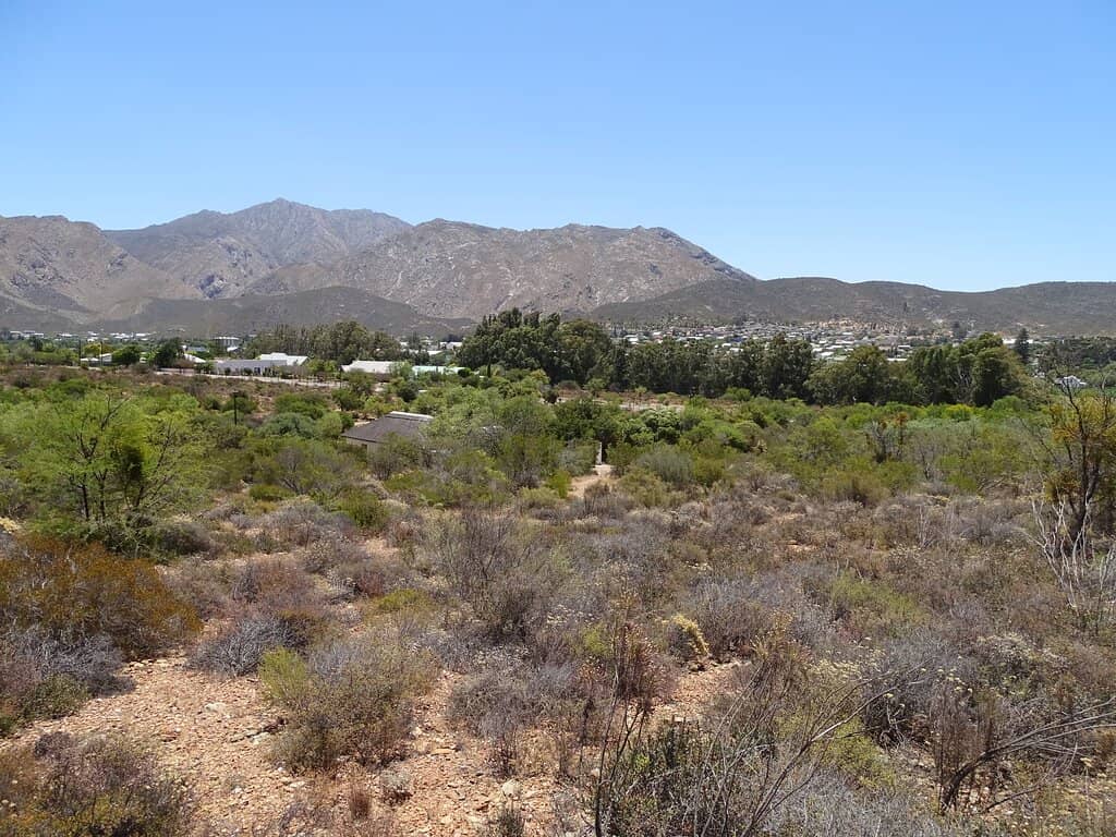 Inspirational Curator