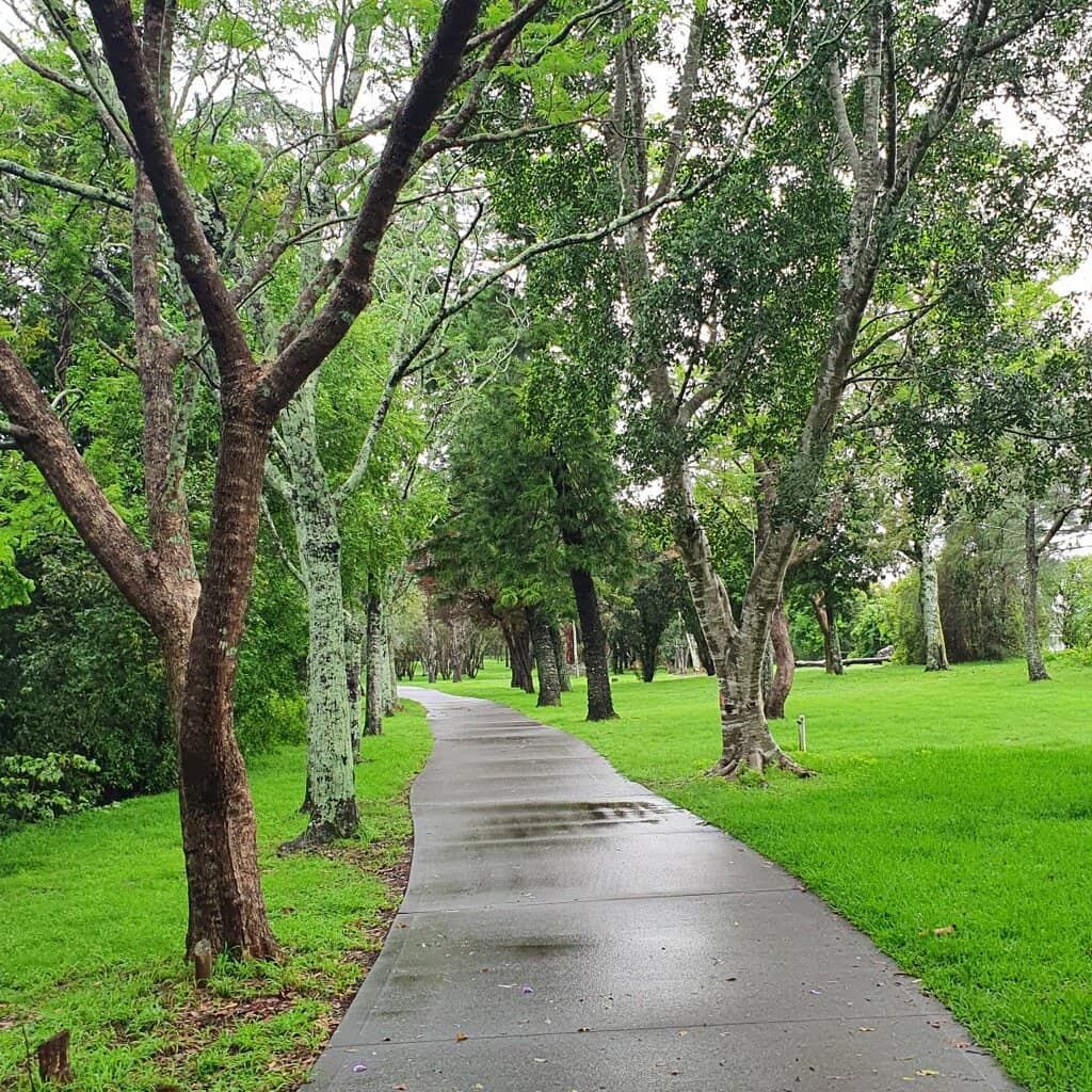 Festival of Sweets and Treats