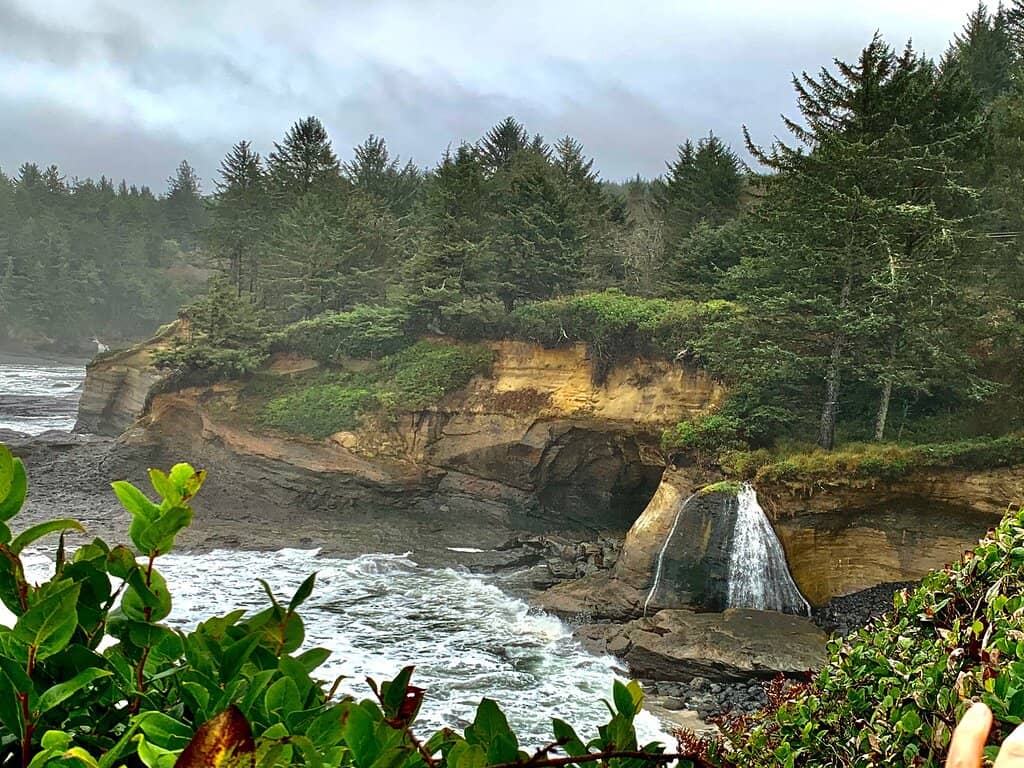 Whale Watching Spot