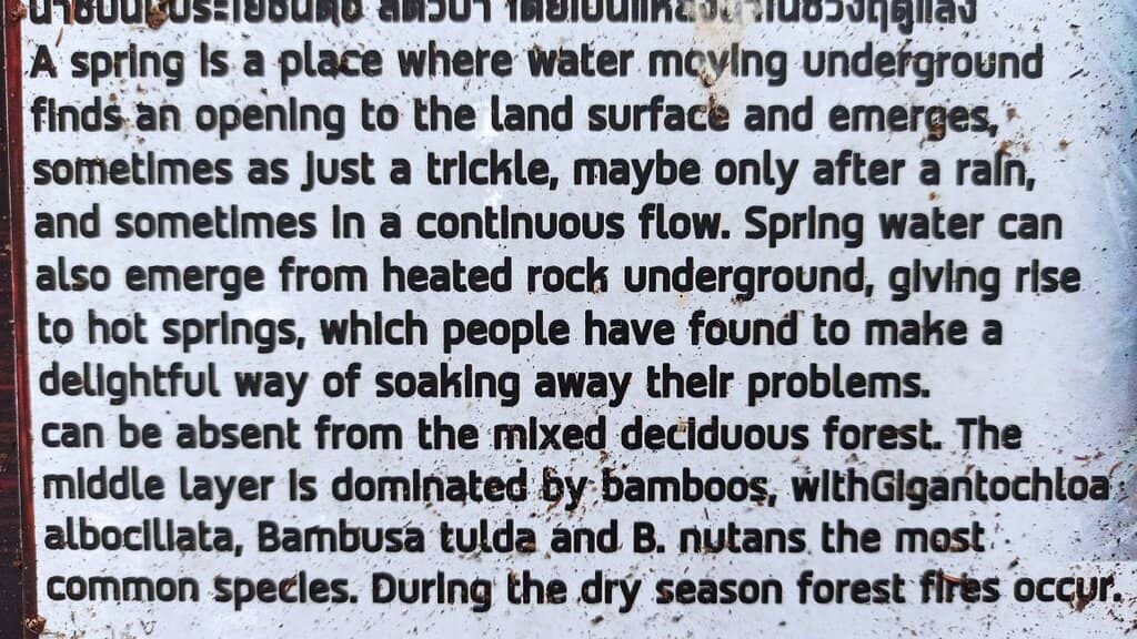 Untouched Natural Beauty