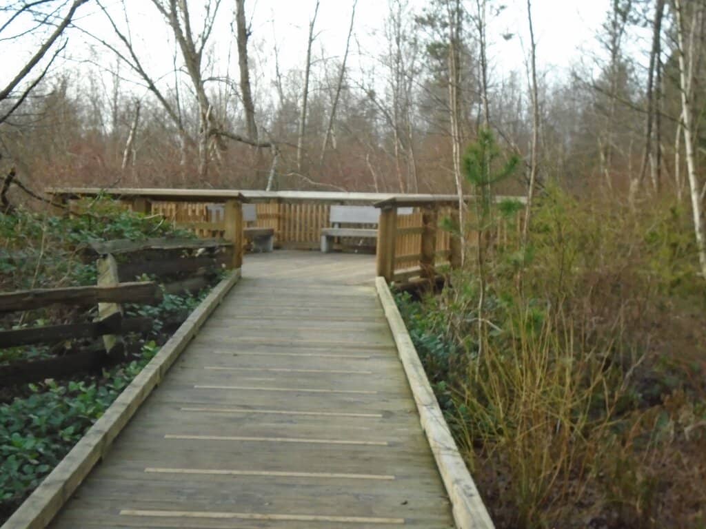 Children's Playground