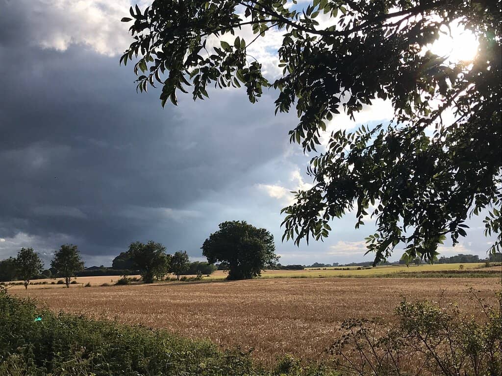 Historic Railway Remnants