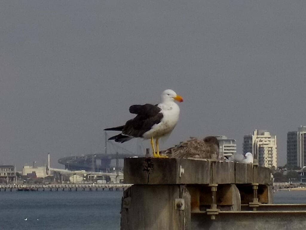 Art on the Pier