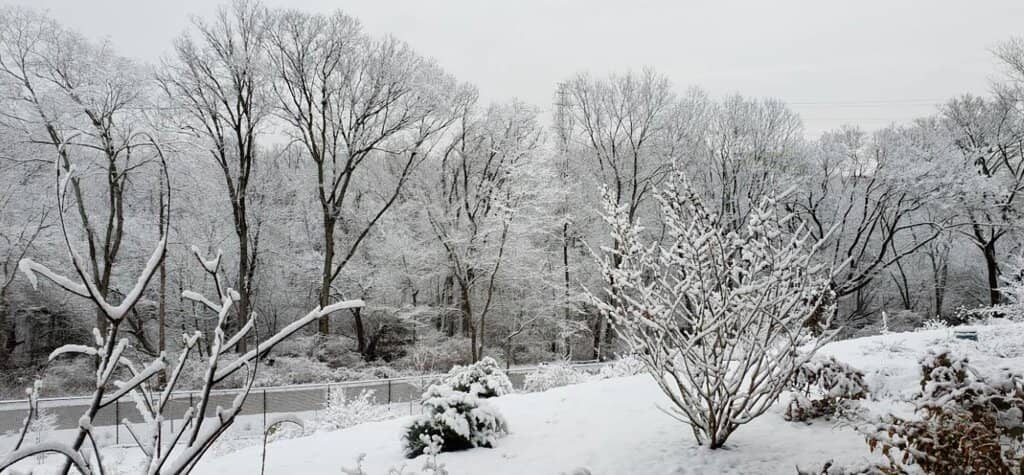 Gardens Aglimmer