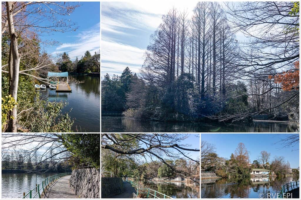 Affordable Boat Rentals