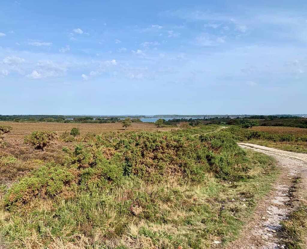 Wild Camping Potential