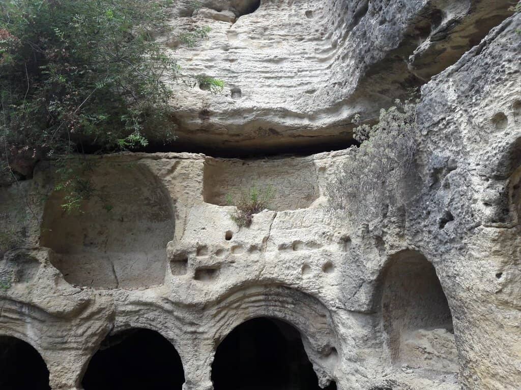 The Cave Network