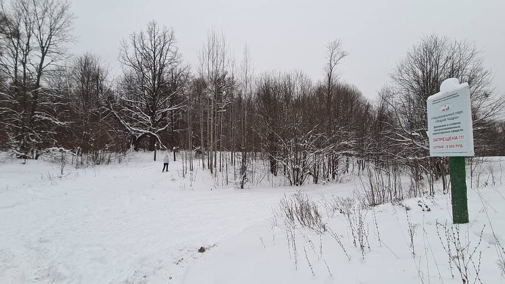 Diverse Flora Trails