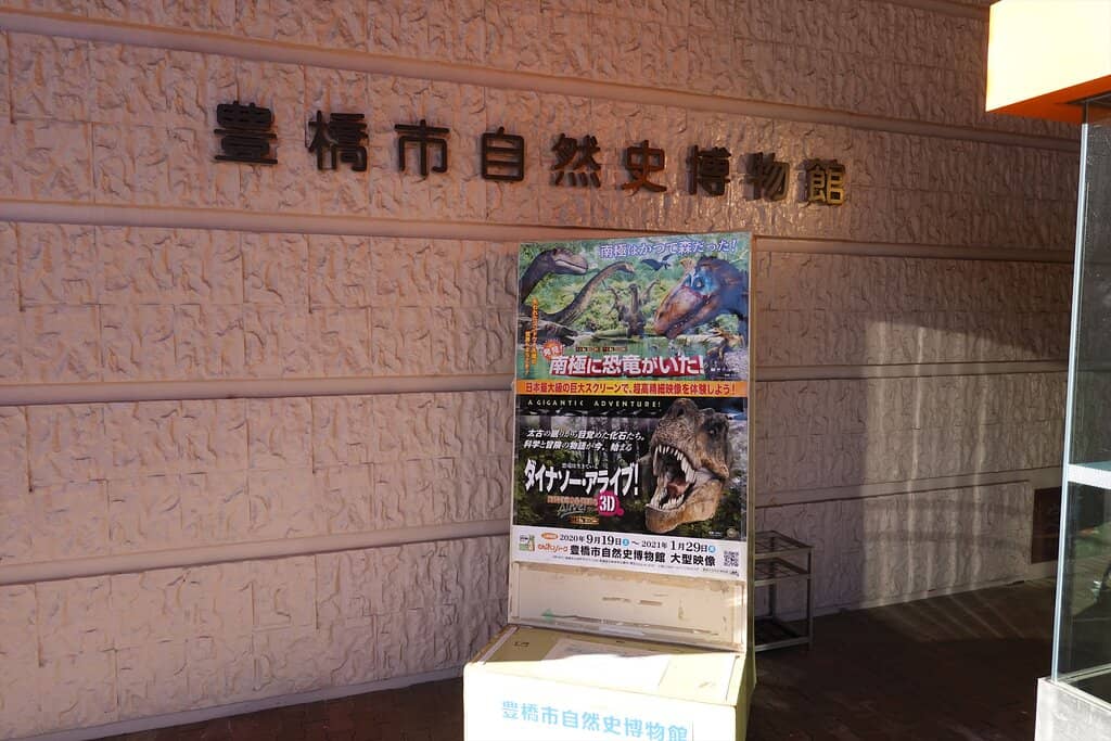 Mikawa Salamander Discovery