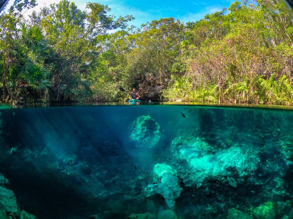 Delicious On-Site Dining