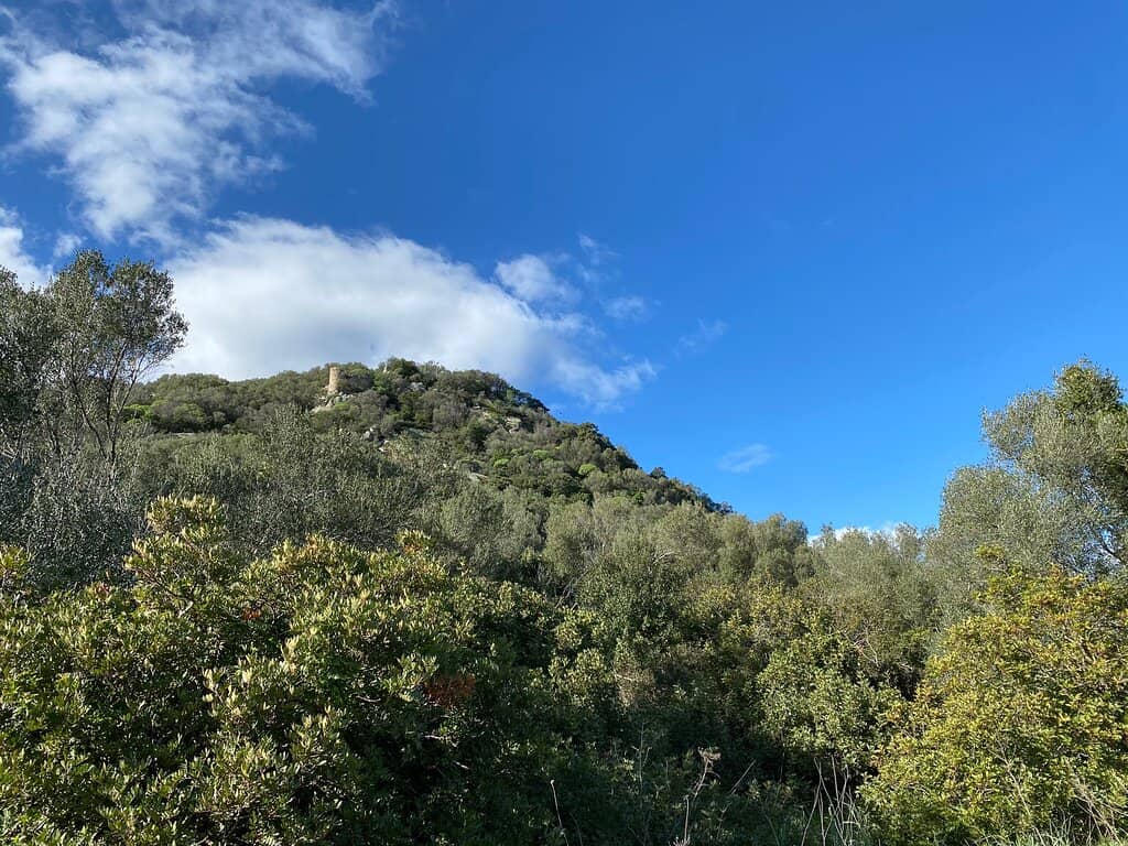 Panoramic Views