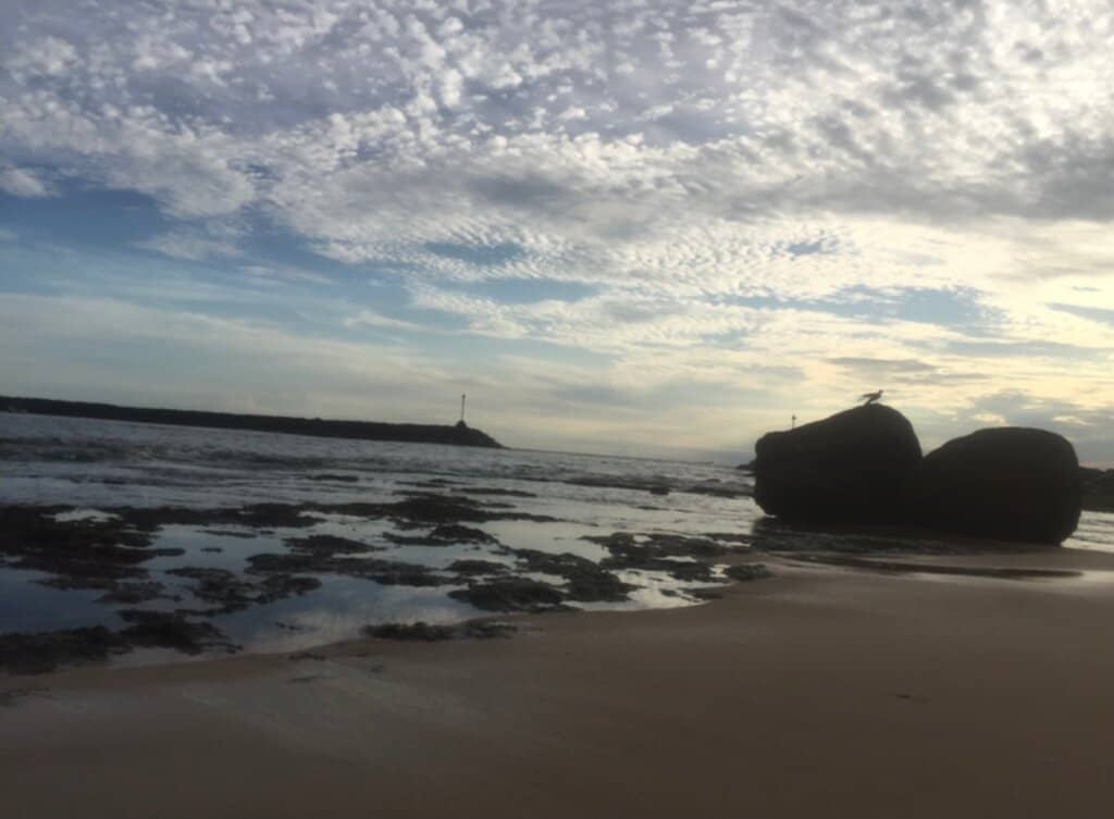 Vertical photo