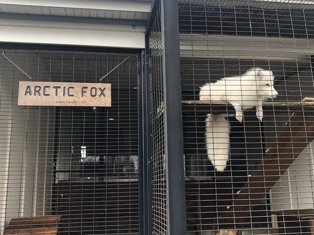 Interactive Museum Displays