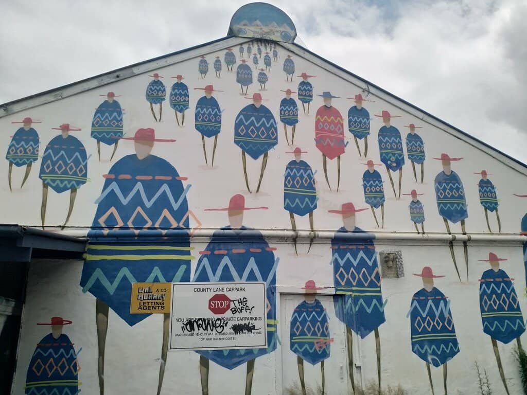 Local Artist Showcases