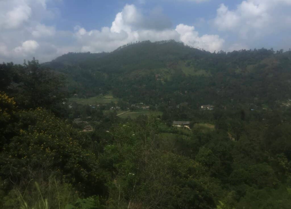 Vertical photo