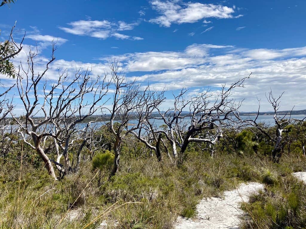 Gull Rock Beach