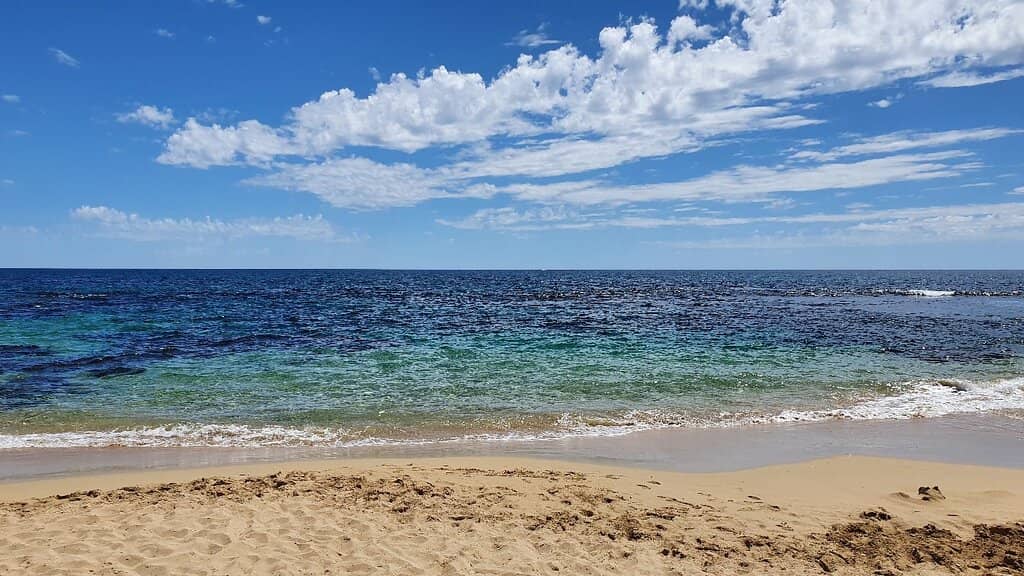 Penguin Island Views