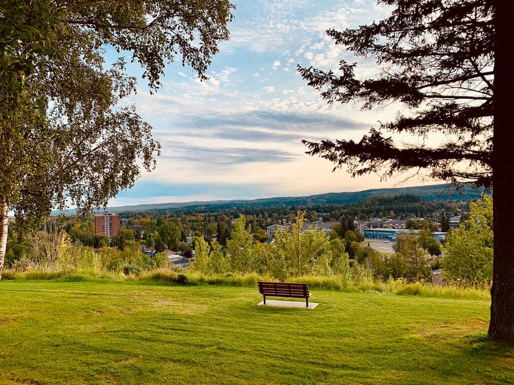 Picnic Paradise