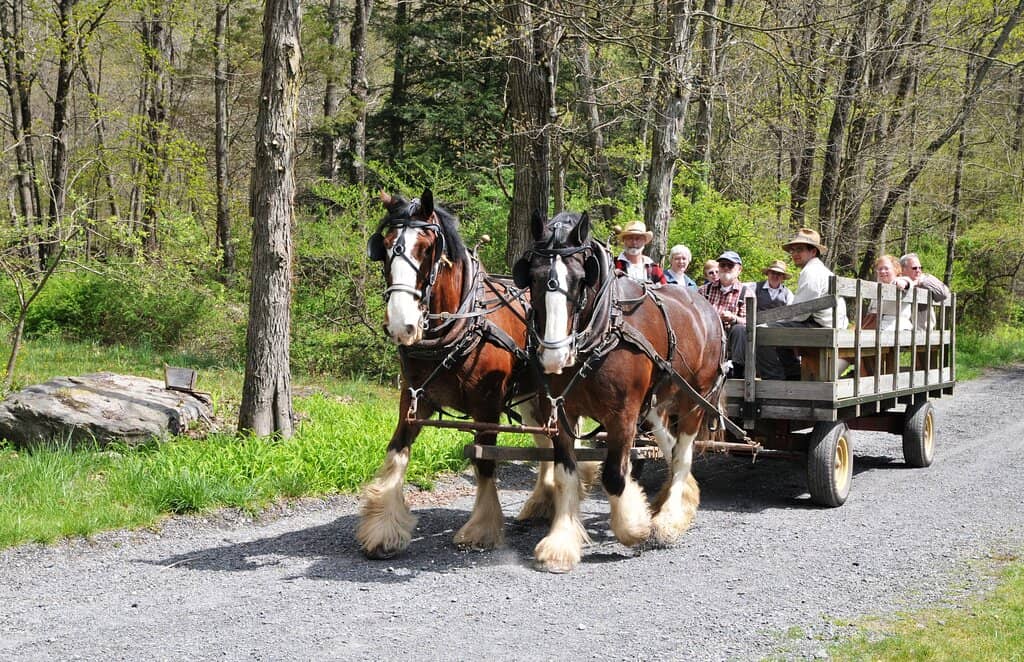 Nature Trails and Pond