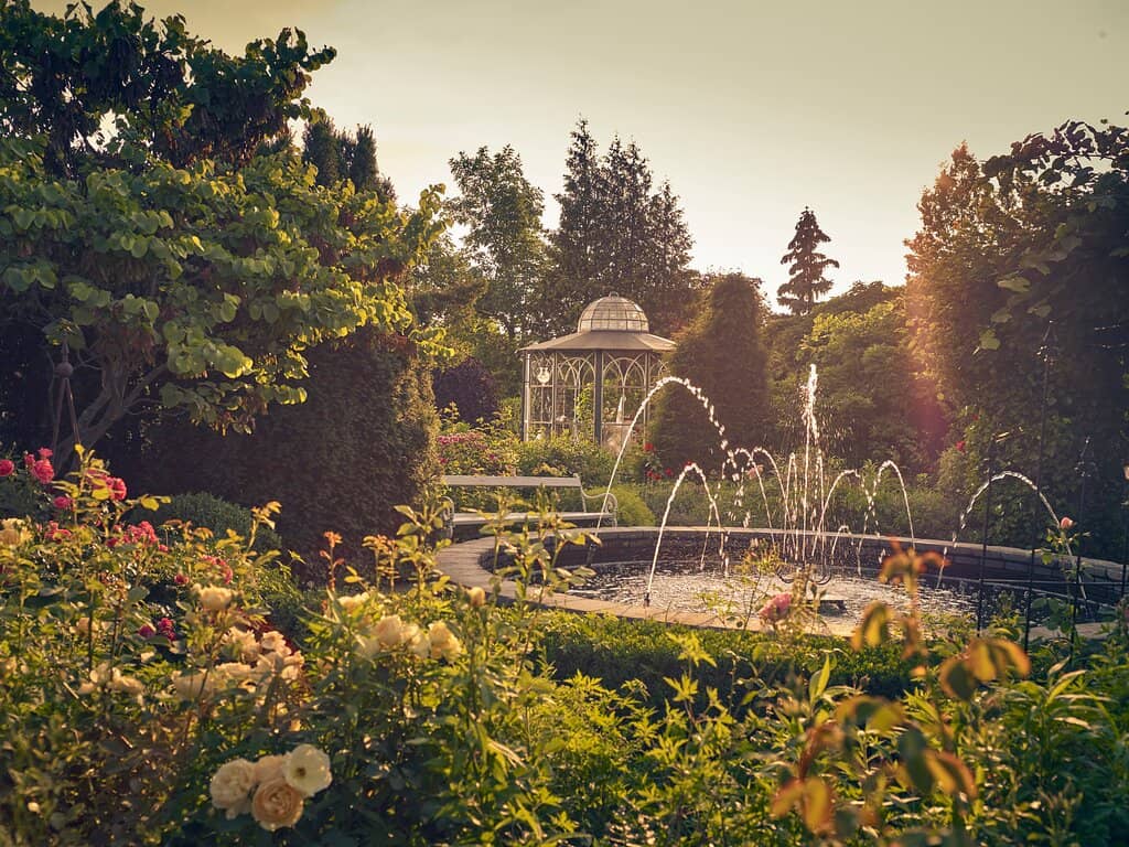 Adventure Playgrounds