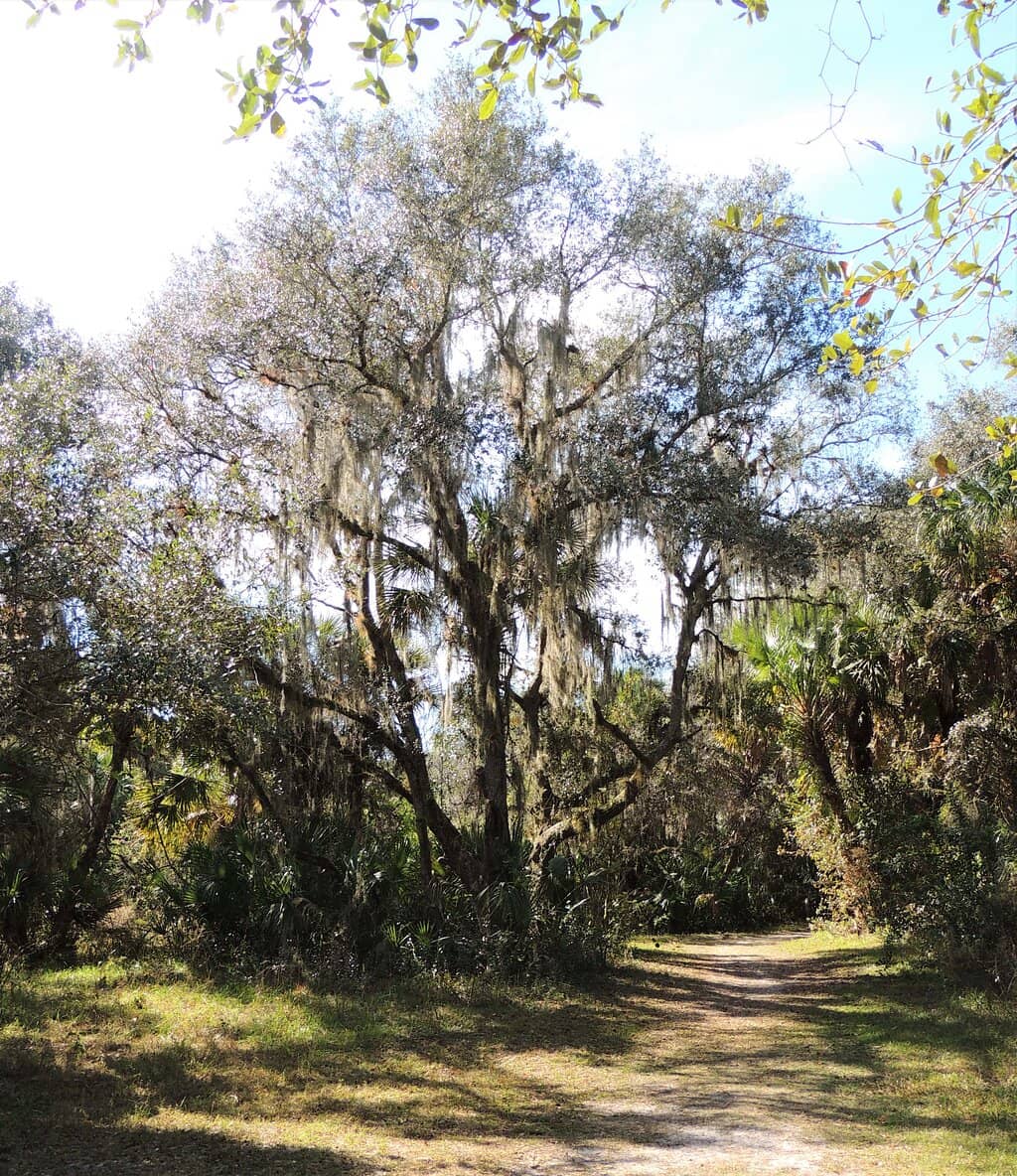 Primitive Camping