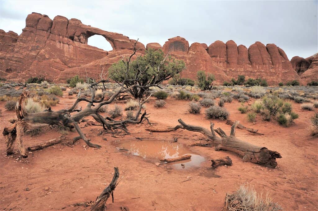 Double Arch