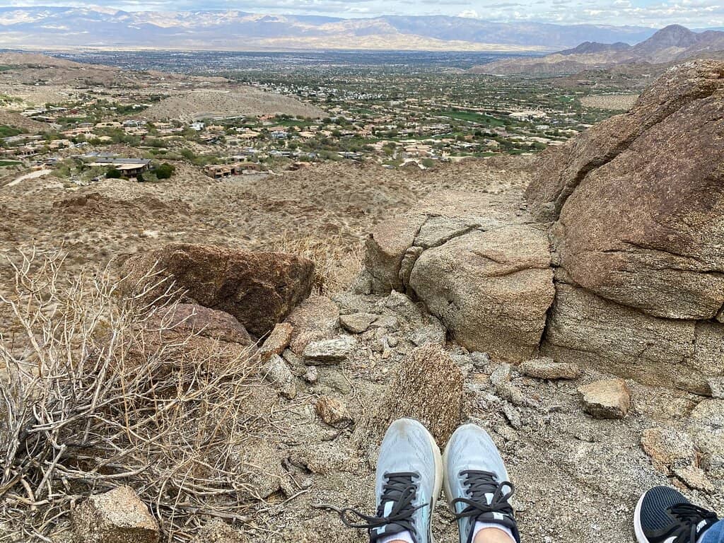 Bighorn Sheep Encounters