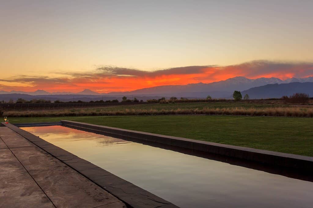 Vineyard and Mountain Views