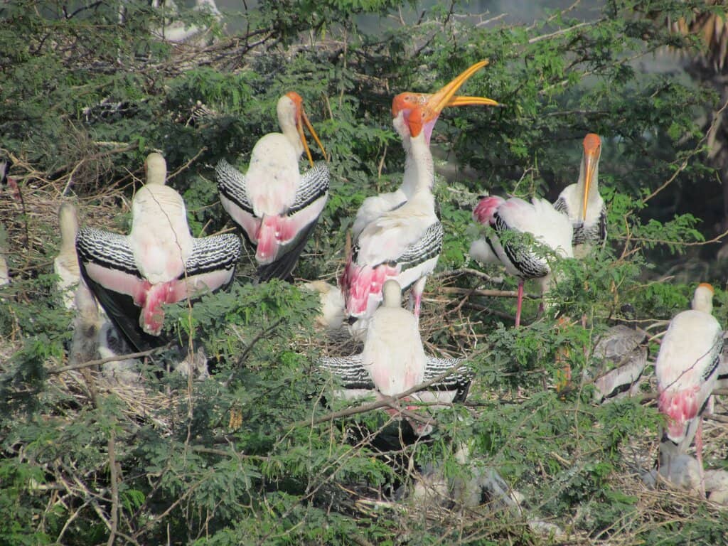 Children's Play Area