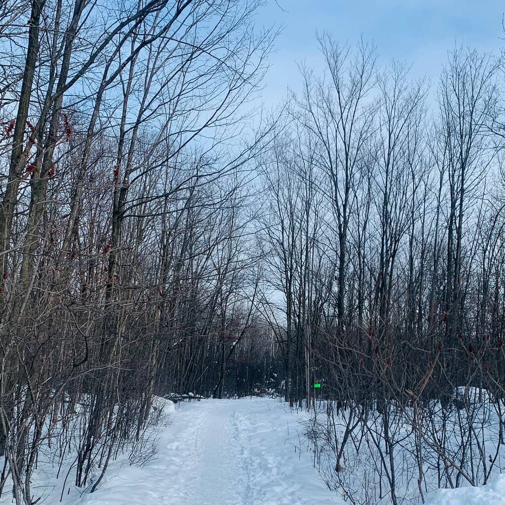 Boardwalks Through Wetlands