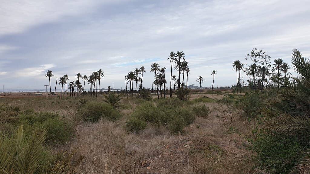 Natural Surroundings