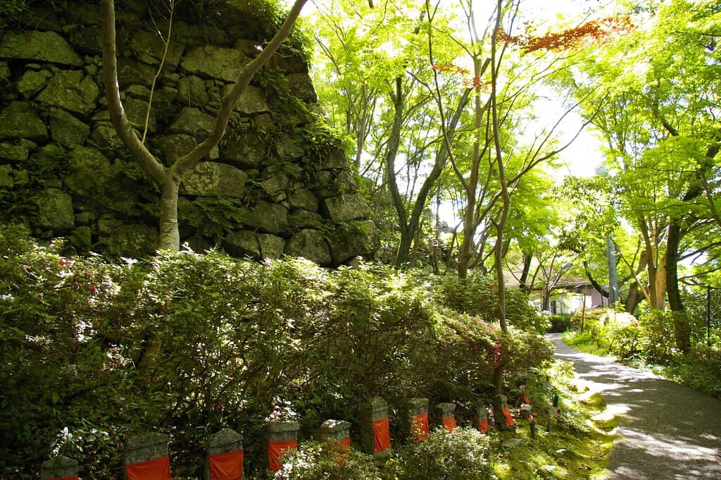 Vertical photo