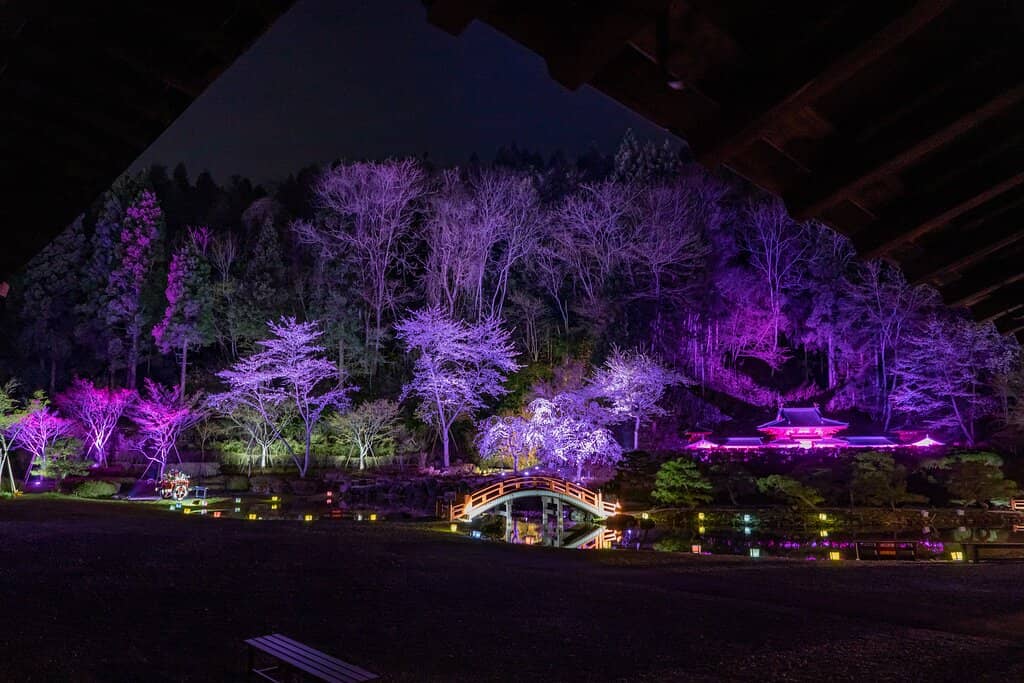 Kimono and Samurai Dress-Up