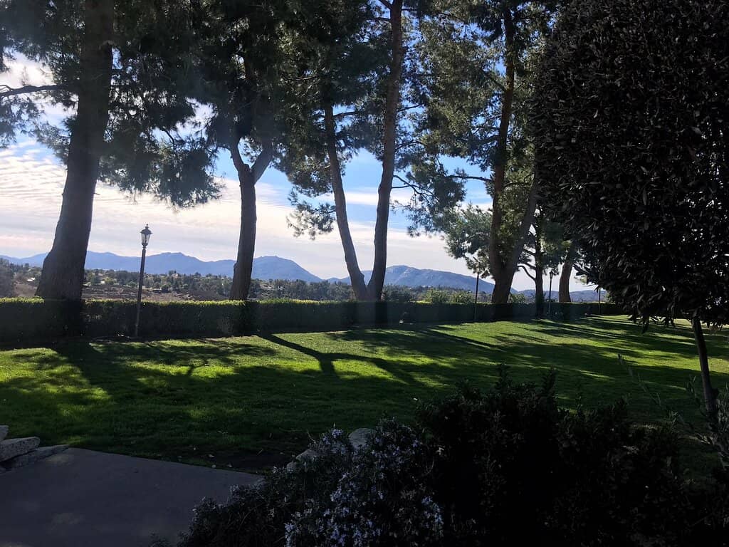 Brunch at Europa Village