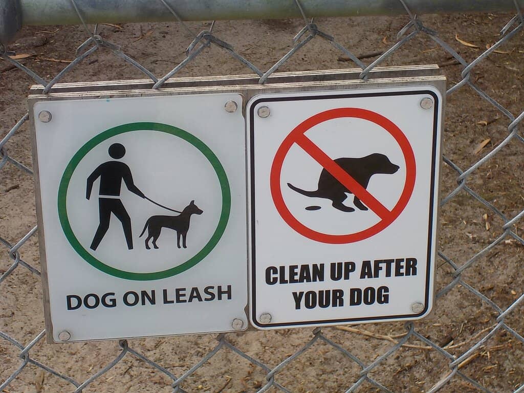 Peaceful Woodland Paths