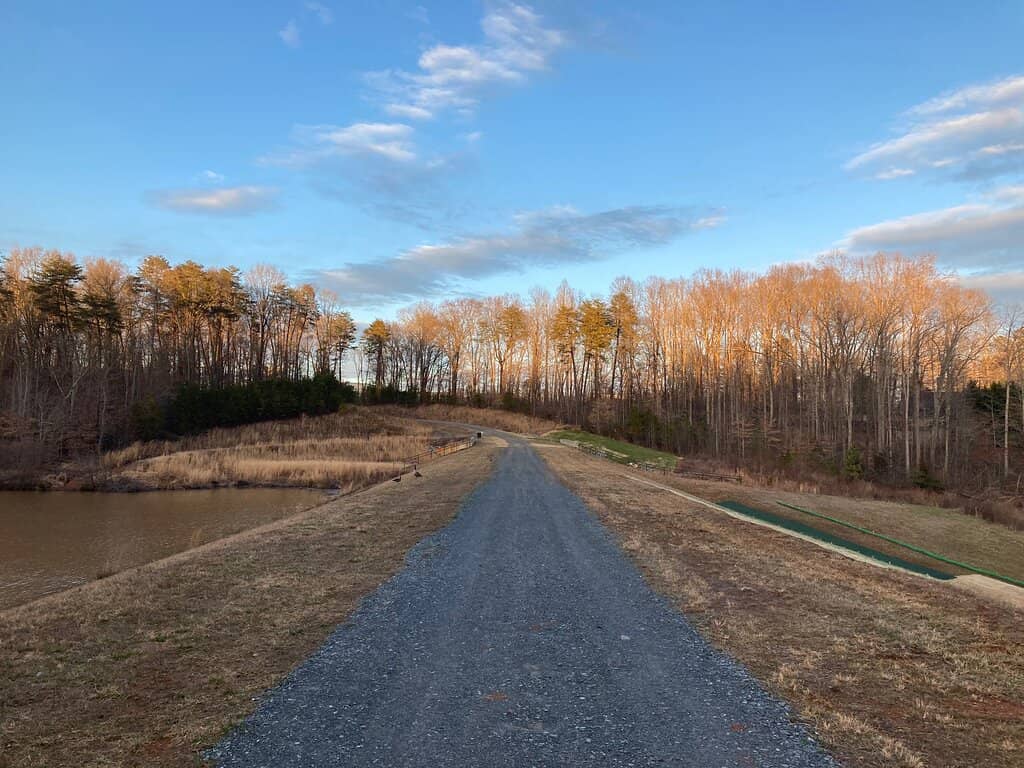 Mountain Biking Trails