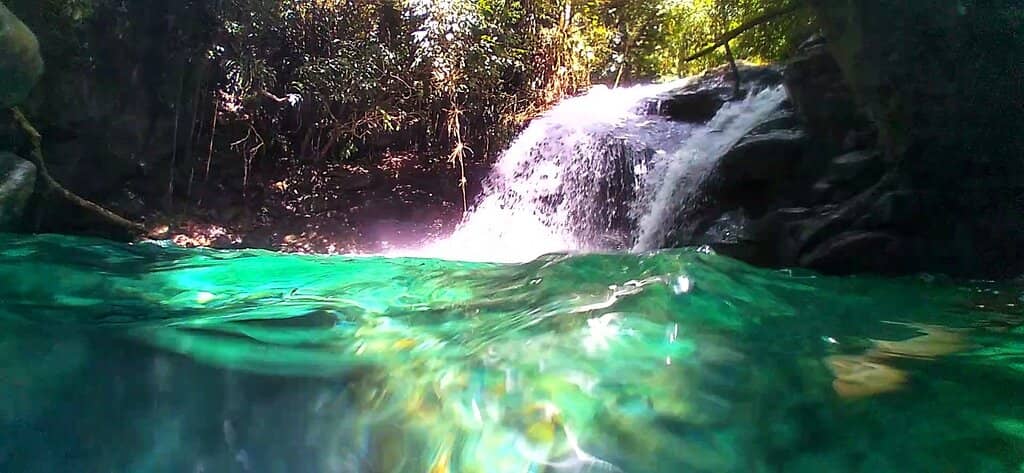 Scenic Nature Trails