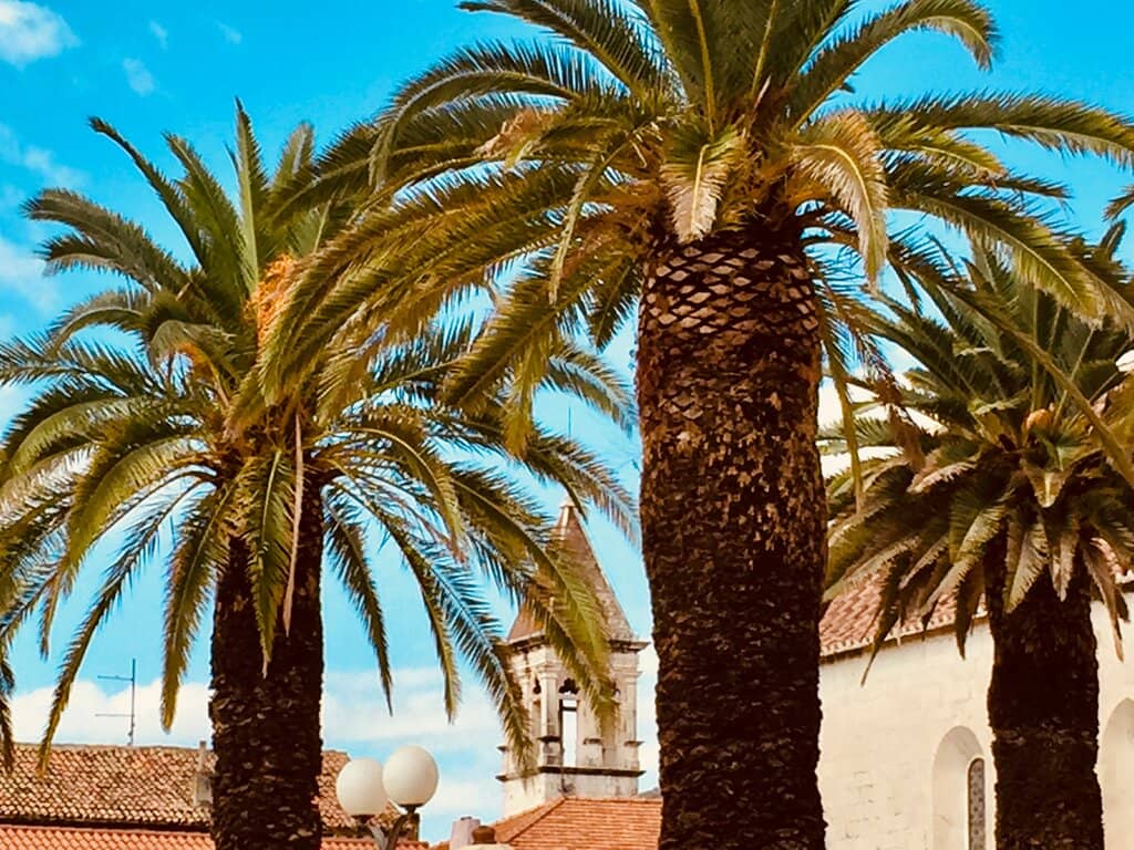 Charming Old Town Charm
