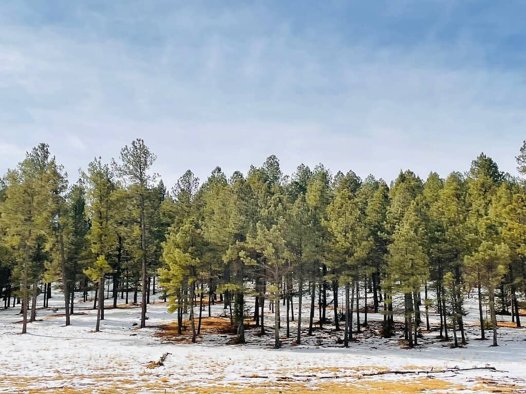 Scenic Hiking Trails