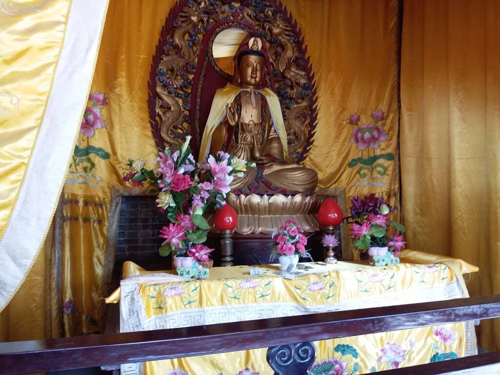 Southern Forest of Steles