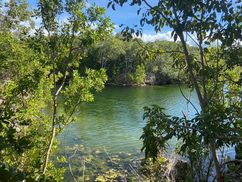 Port Bougainville Trail